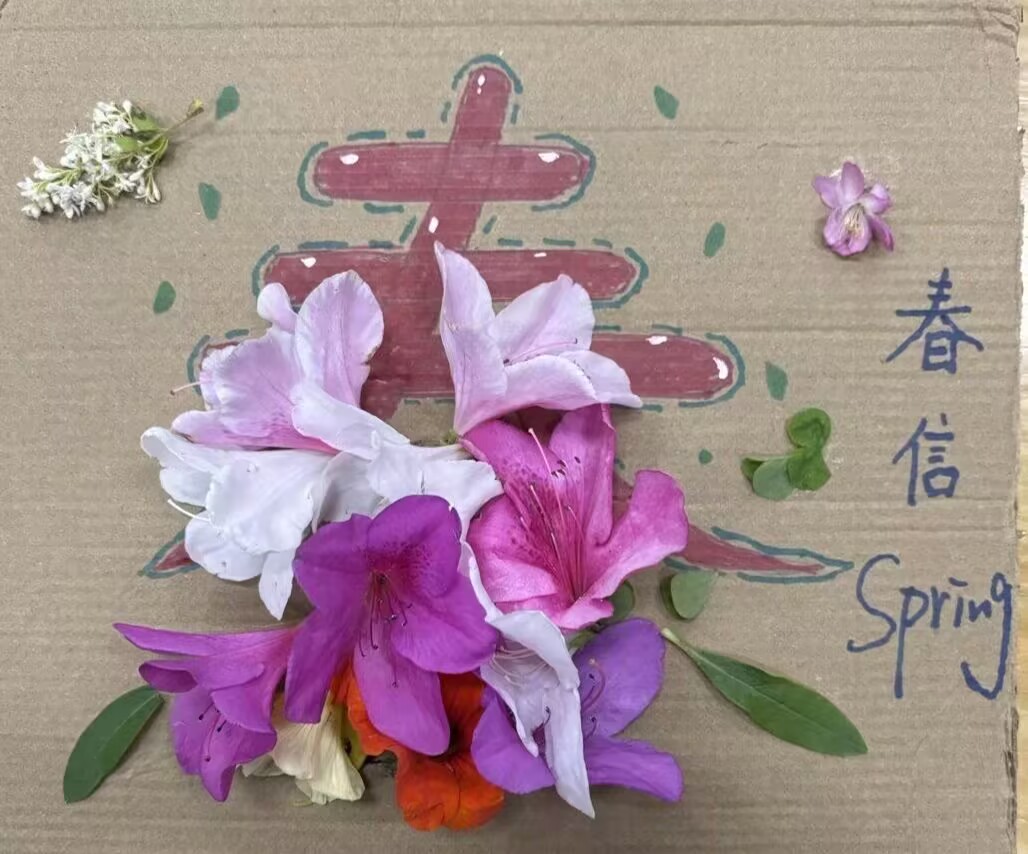 图片 2