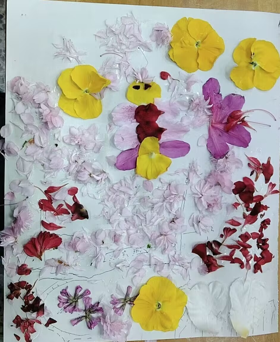 图片 19