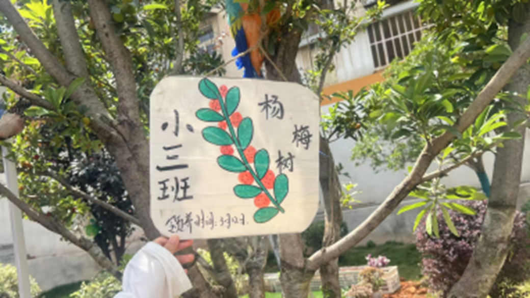 图片3.png 图片3.png